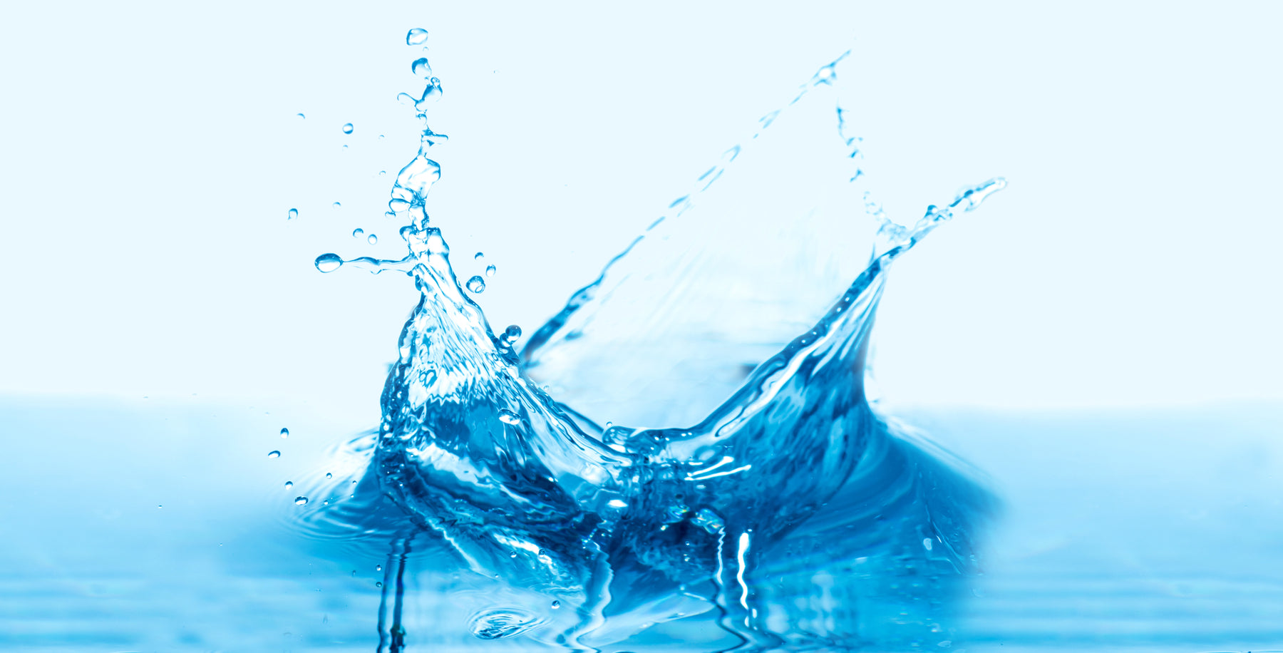 Aqua Plus water consultation